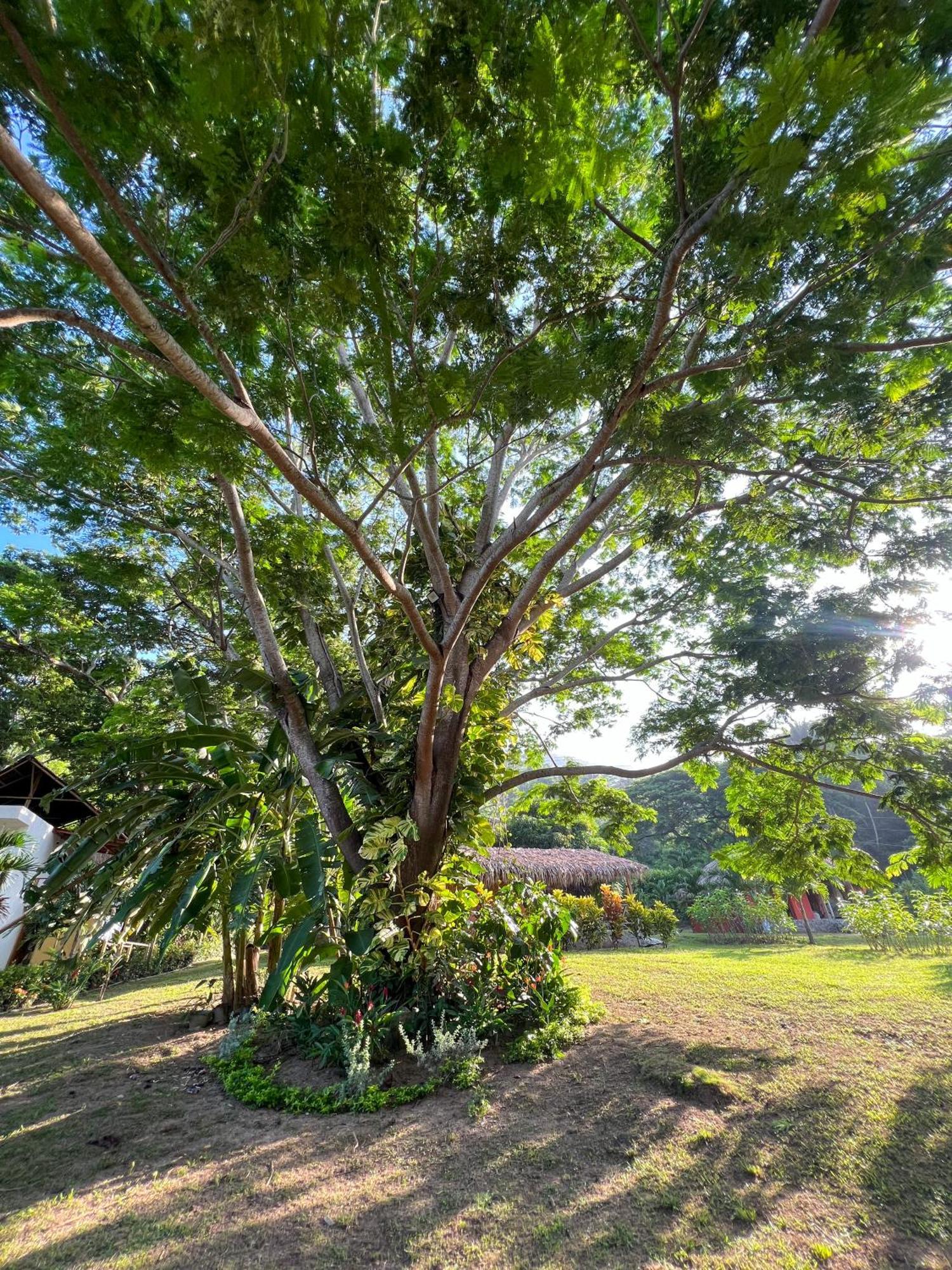 Tayrona Cachaco River Ecohostal 埃尔扎伊诺 外观 照片