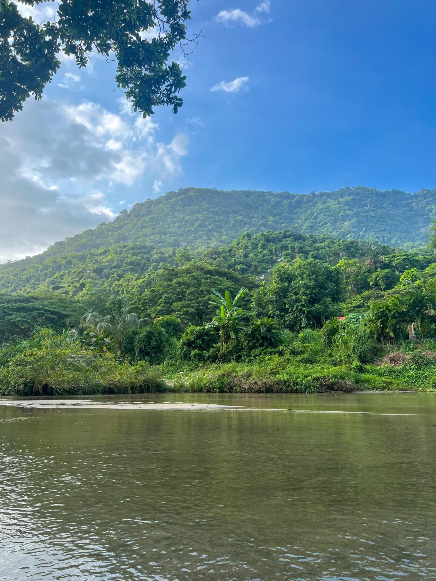 Tayrona Cachaco River Ecohostal 埃尔扎伊诺 外观 照片
