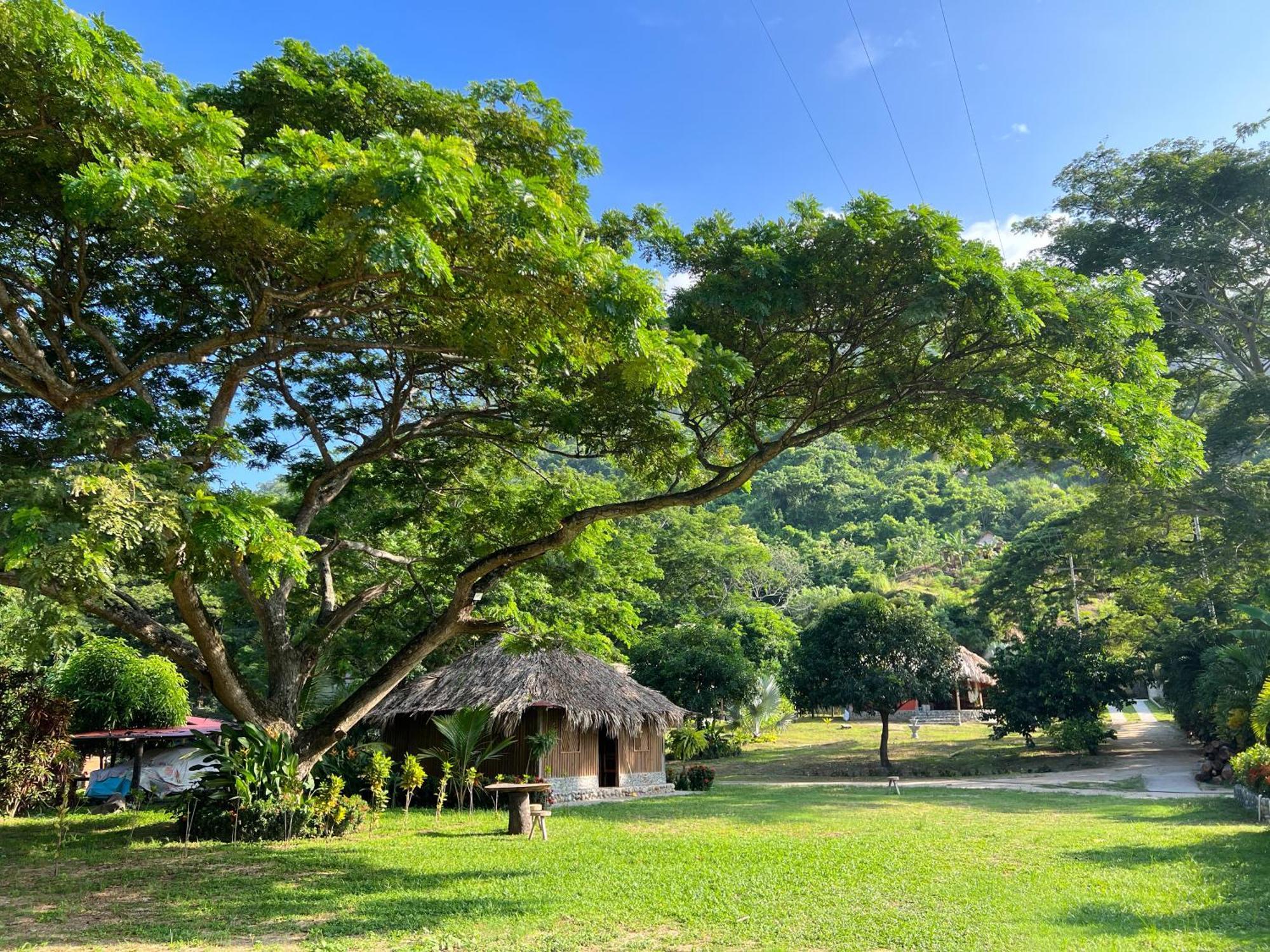 Tayrona Cachaco River Ecohostal 埃尔扎伊诺 外观 照片